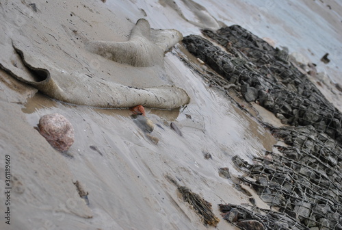 Felsen am strand