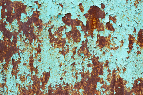 Rusty surface of metal plate with blue cracked color paint. Rust on old colored metal. Old blue fence. Grunge ruststained metal fence. Rust on blue iron-plate fencing. Seedy and shabby paling.