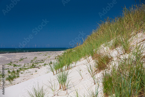 Baltic sea, Germany, Mecklenburg-Western Pomerania, Darß, Prerow, seaside
