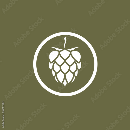 illustration of hop for brewing isolated on green background