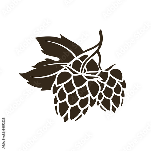 illustration of hop for brewing isolated on white background