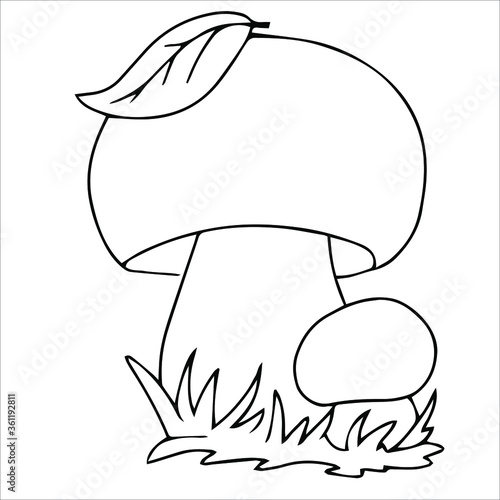 Set of different edible and poisonous mushrooms vector illustration isolated on white background.