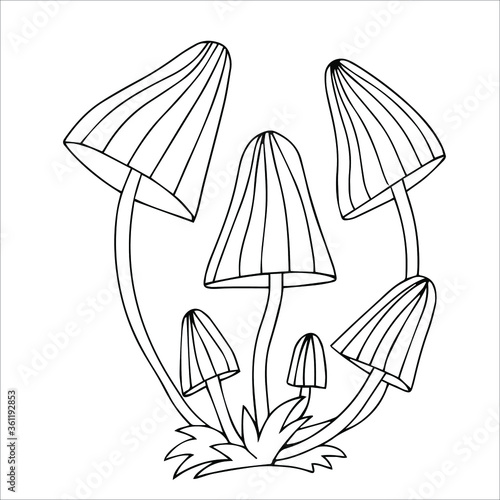 Set of different edible and poisonous mushrooms vector illustration isolated on white background.