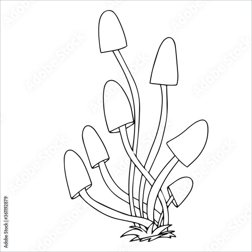 Set of different edible and poisonous mushrooms vector illustration isolated on white background.