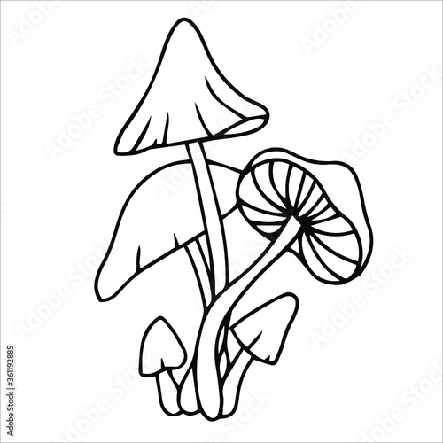 Set of different edible and poisonous mushrooms vector illustration isolated on white background.