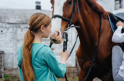 Fototapeta Naklejka Na Ścianę i Meble -  A young and pretty girl stands and holds the reins of a thoroughbred Mare on a summer day at the ranch. Horse riding, training and rehabilitation. Love and care of animals
