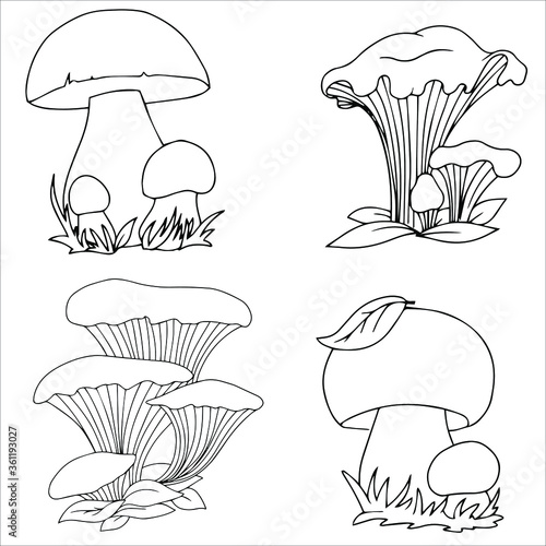 Set of different edible and poisonous mushrooms vector illustration isolated on white background.