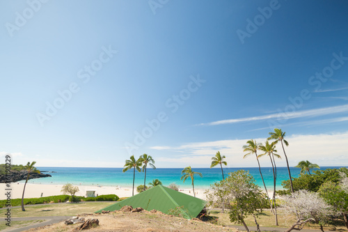 Tropical beach with waving palm trees and turquoise sea