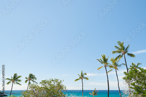 Tropical beach with waving palm trees and turquoise sea on island of Hawaii.