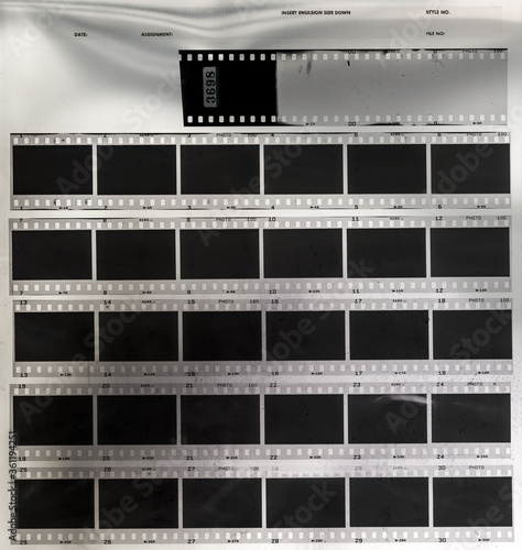 macro photo of real 35mm contact sheet with empty or blank frames.