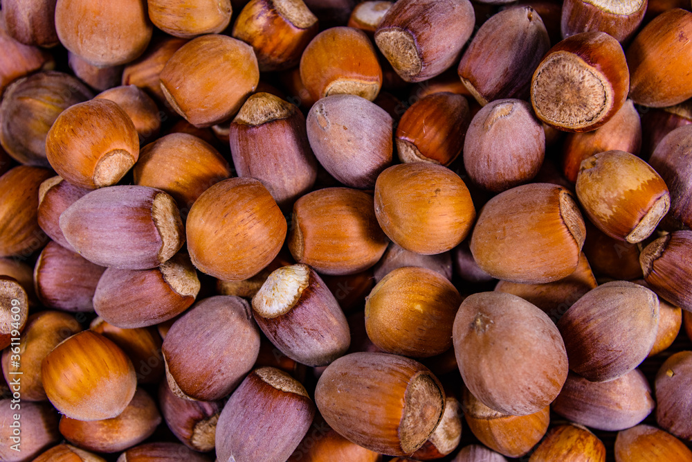 Pile of the hazelnuts for background. Healthy eating Pile of the hazelnuts for background. Healthy eating