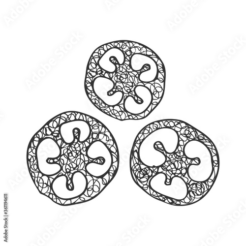 Vector doodle illustration of luffa pieces