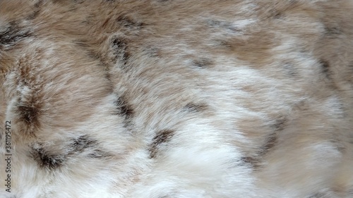 Spotted  fur texture