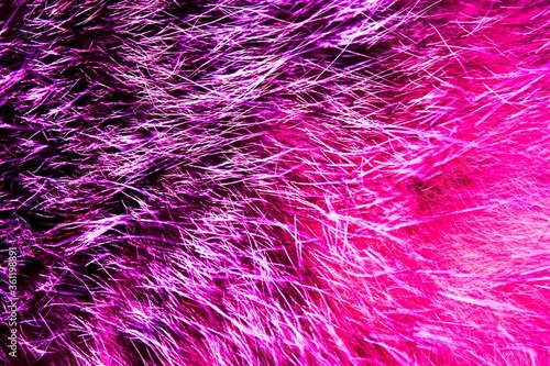 Obraz na plátne Unique texture and pattern in pink-purple color