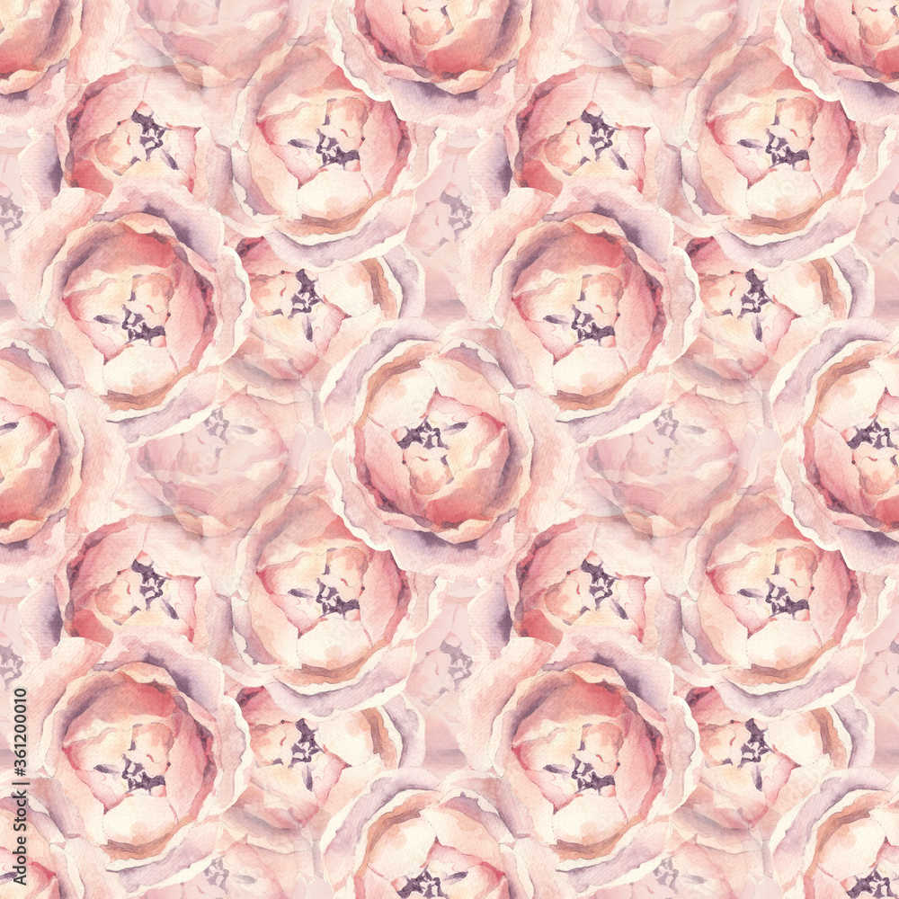 Pattern with peony and blackberries watercolor hand painted pink and blue Pattern with peony and blackberries watercolor hand painted pink and blue