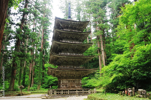 山形　初夏の出羽三山　羽黒山の杉並木の参道　五重塔