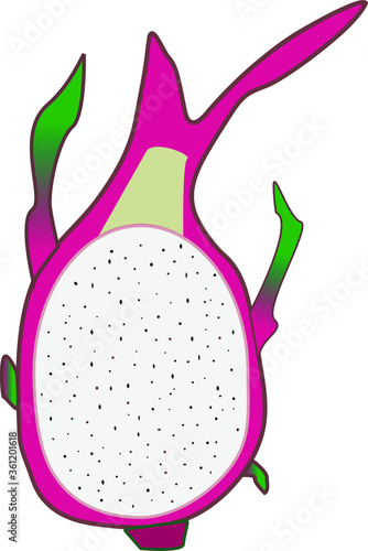Half of dragon fruit, pitaya or pitahaya cut in half. Vector exotic tropical fruit isolated on white background
