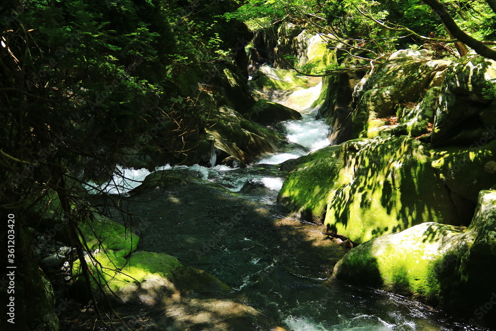 Obraz premium 山形 初夏の鳥海山 二ノ滝トレッキング 間ノ滝