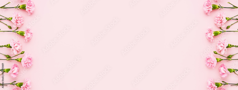 Holiday banner. Border of pink carnations on pink background. Mother's day, Valentines Day, Birthday celebration concept. Greeting card. Copy space, top view