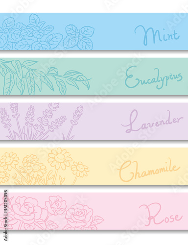 バナー, 背景などに使えるアロマオイル・ハーブのスケッチイラスト。ベクター画像