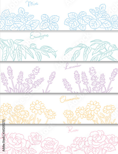 バナー, 背景などに使えるアロマオイル・ハーブのスケッチイラスト。ベクター画像