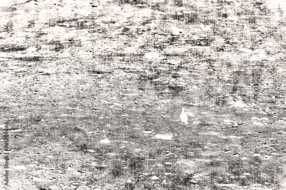 Obraz premium grey grunge stone wall background