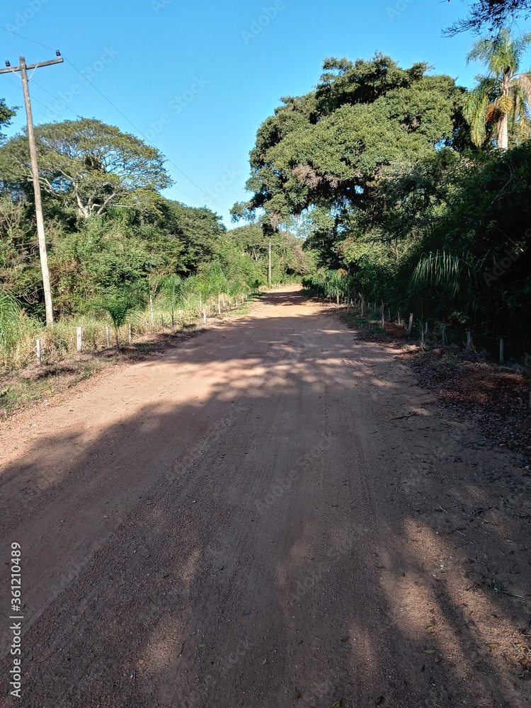 Dirt Road to a Farm in a Sunny Day