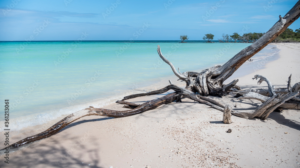 Playas de arena blanca y aguas turquesa de Cuba Playas de arena blanca y aguas turquesa de Cuba