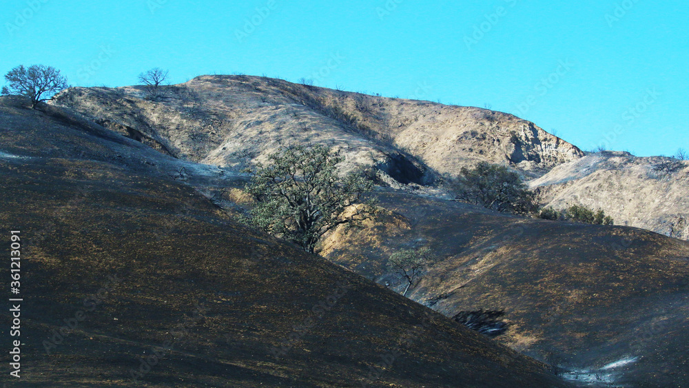mountain after fire