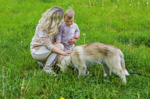 Mother and his little daughter taking with husky dog at the meadow. Baby girl walking her husky dog outdoors in nature. Love for animal. Lovely dog. Best pet for kids.