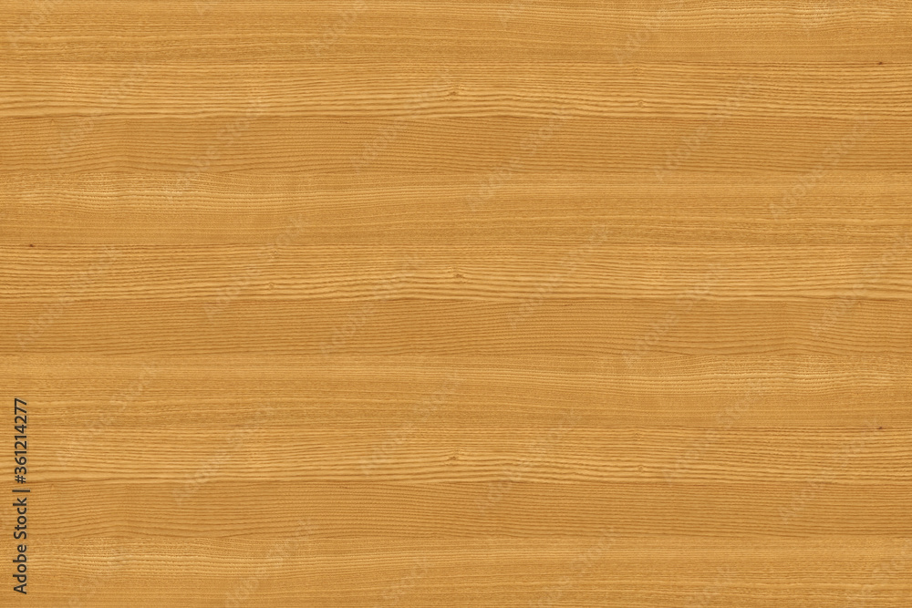 ash-tree wooden background texture structure backdrop ash-tree wooden background texture structure backdrop