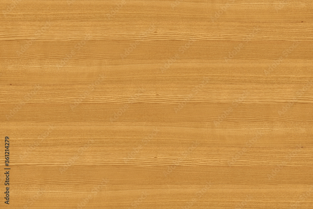 ash-tree wooden background texture structure backdrop ash-tree wooden background texture structure backdrop