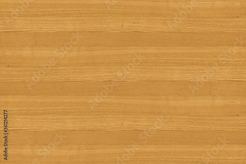 ash-tree wooden background texture structure backdrop