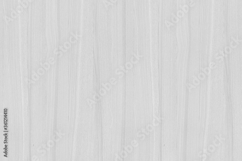 grey ash-tree wooden background texture structure backdrop