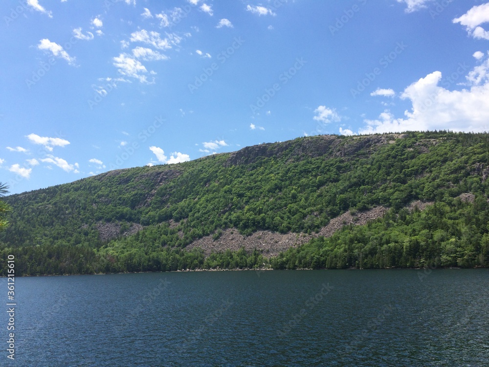 Water next to forest hills and trees