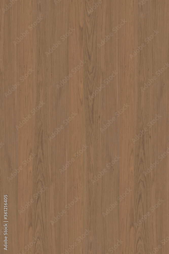 brown wooden tree timber background texture structure backdrop high size brown wooden tree timber background texture structure backdrop high size