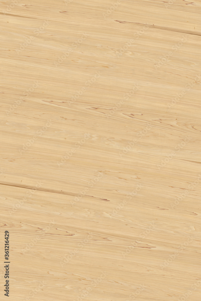 Obraz premium brown wooden tree timber background texture structure backdrop high size