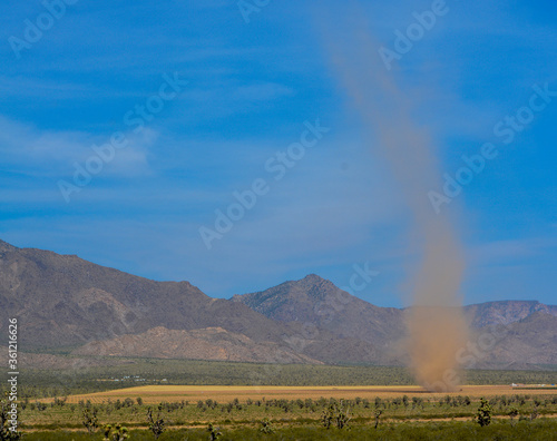 Dust Devil Whirlwind formed in the Sonoran Desert of Arizona.