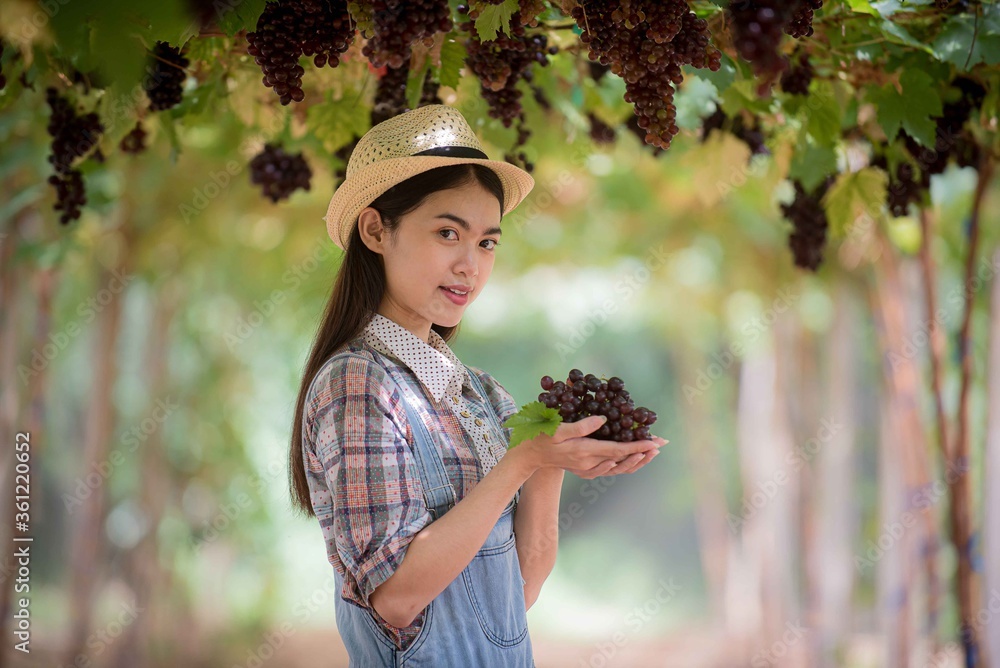 The young woman shows a heap of red grapes