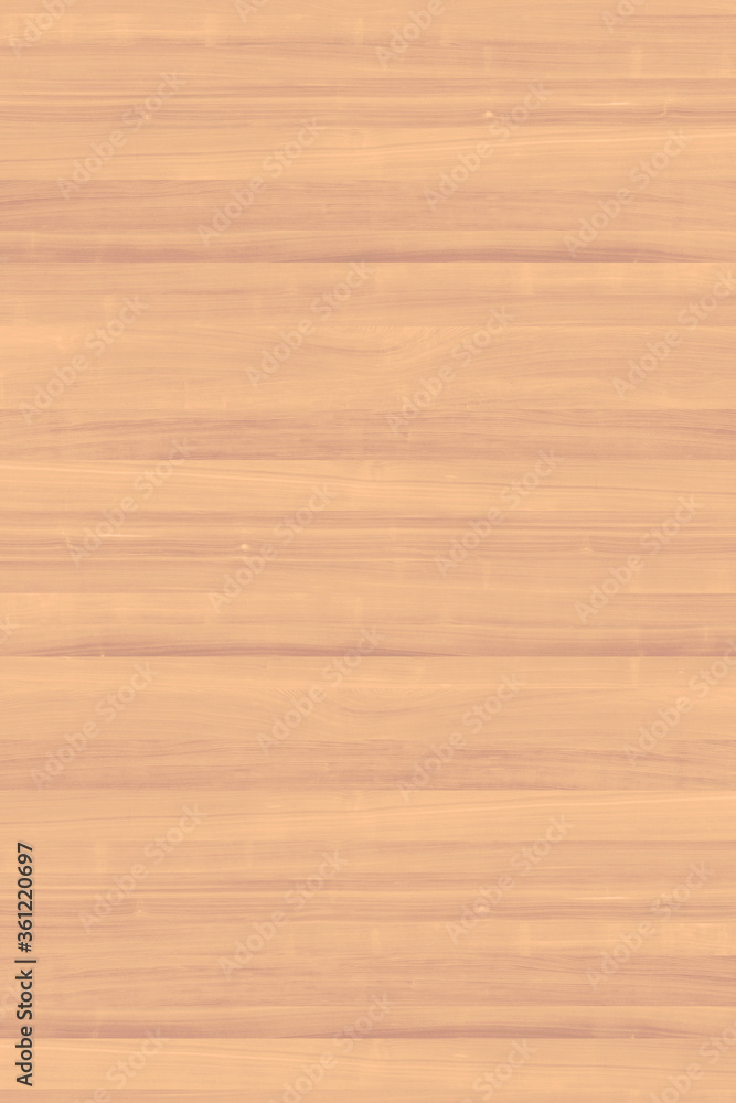 Fototapeta premium wooden tree timber background texture structure backdrop