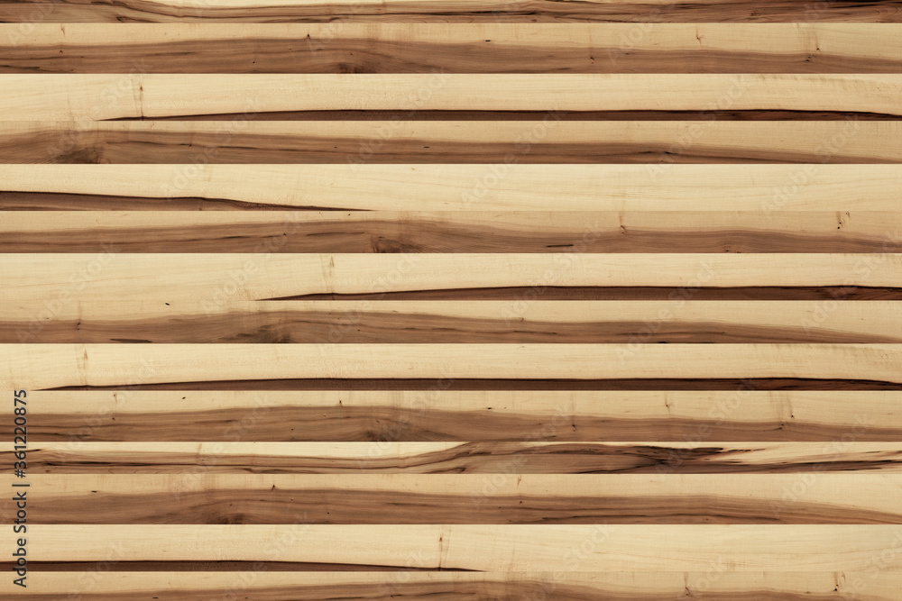 maple wood tree timber background texture structure surface maple wood tree timber background texture structure surface