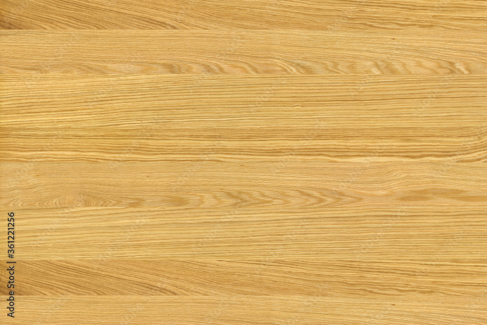 Obraz premium brown oak tree wood wallpaper structure texture background