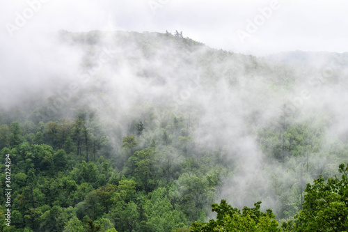 fog in the mountains © Shelbie