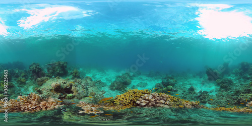 Underwater fish reef marine 360VR. Tropical colorful underwater seascape with coral reef. Panglao, Philippines. © Alex Traveler