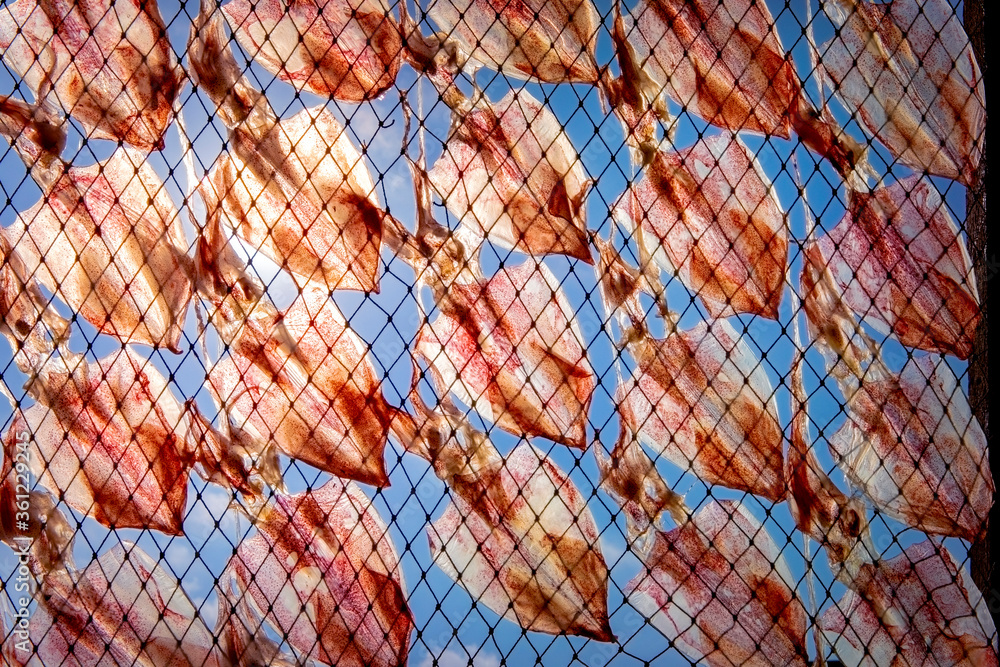 stack of sundry squid on fishery net against clear blue sky stack of sundry squid on fishery net against clear blue sky