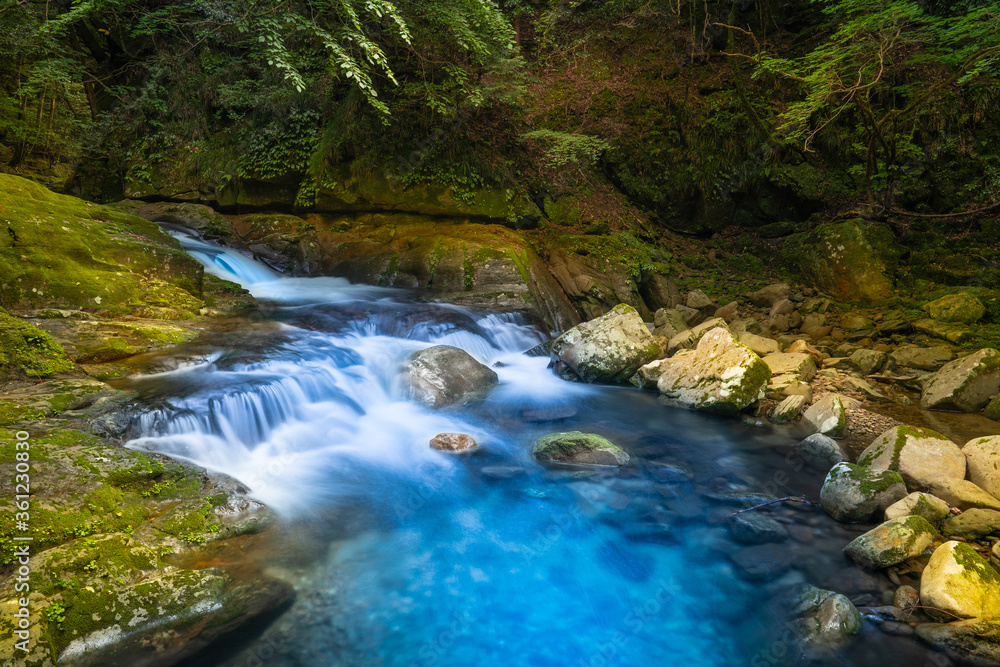 Fototapeta premium 滝