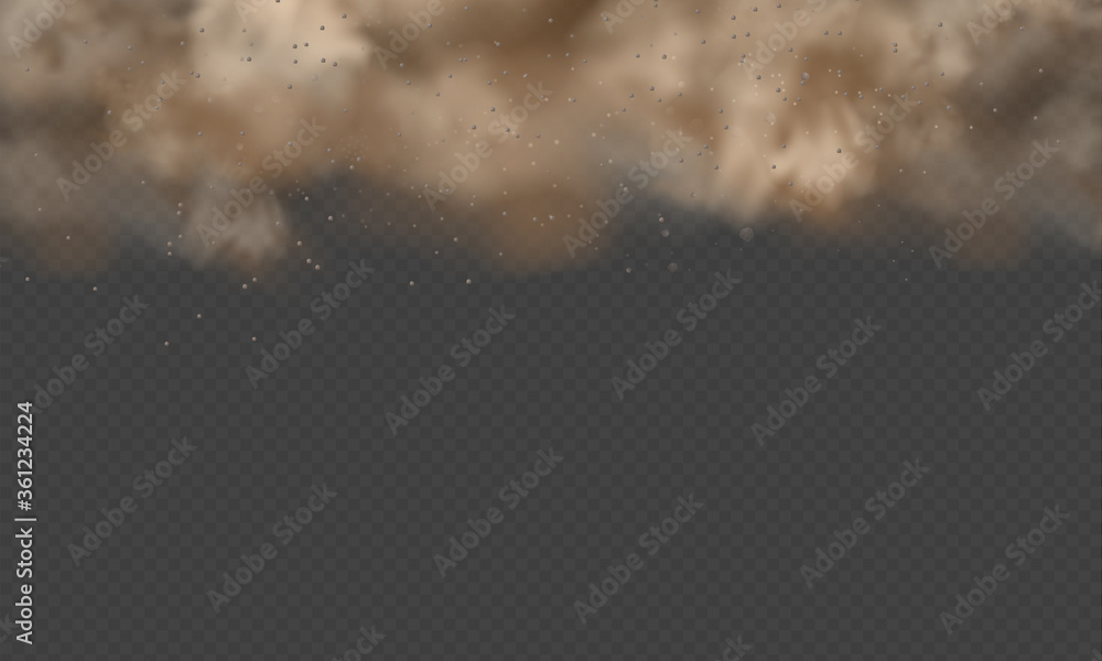 Dust explosion, sandstorm, powder burs on transparent background. Desert wind with cloud of dust and sand. Realistic pouder of desert and stone vector illustration.