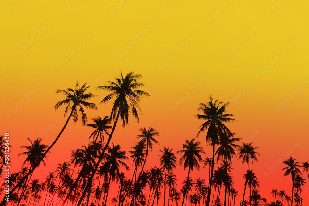 Tropical palm coconut trees on sunset sky flare and bokeh nature.
