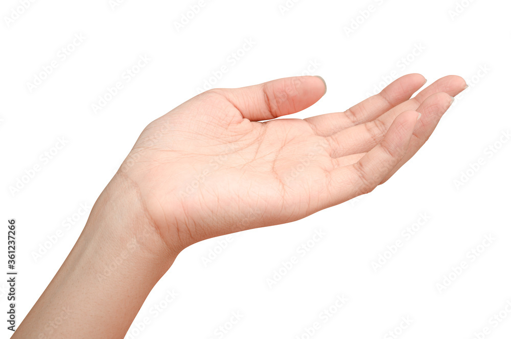 Hand open and ready to help or receive. Gesture isolated on white background with clipping path. Hand open and ready to help or receive. Gesture isolated on white background with clipping path.