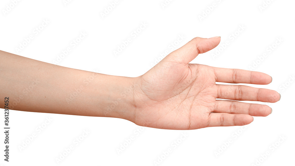 Hand open and ready to help or receive. Gesture isolated on white background with clipping path. Hand open and ready to help or receive. Gesture isolated on white background with clipping path.